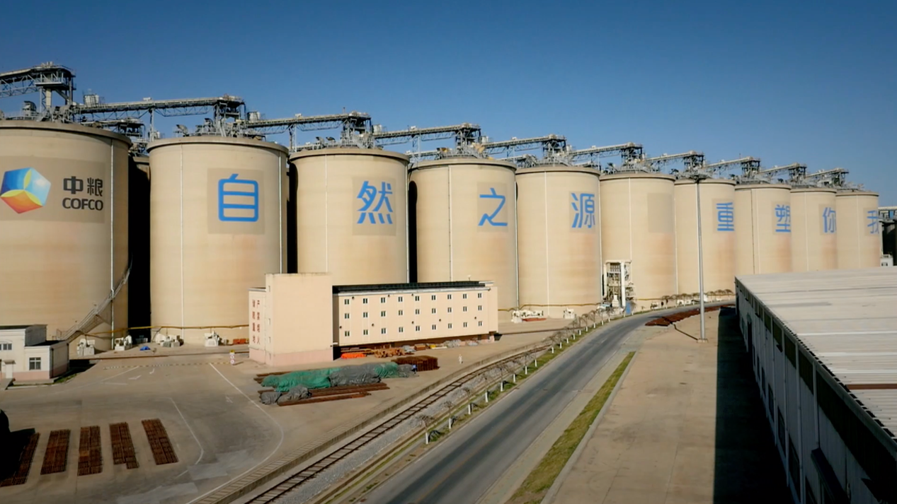 中粮贸易:数通四方 粮达天下