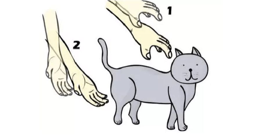 如何才是正确的抱猫姿势?几张简笔画告诉你真相!从此让猫爱上你