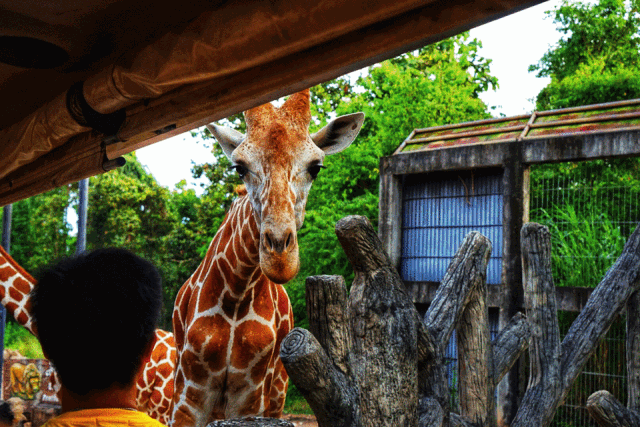 5天走遍清迈,这里有新的打开方式