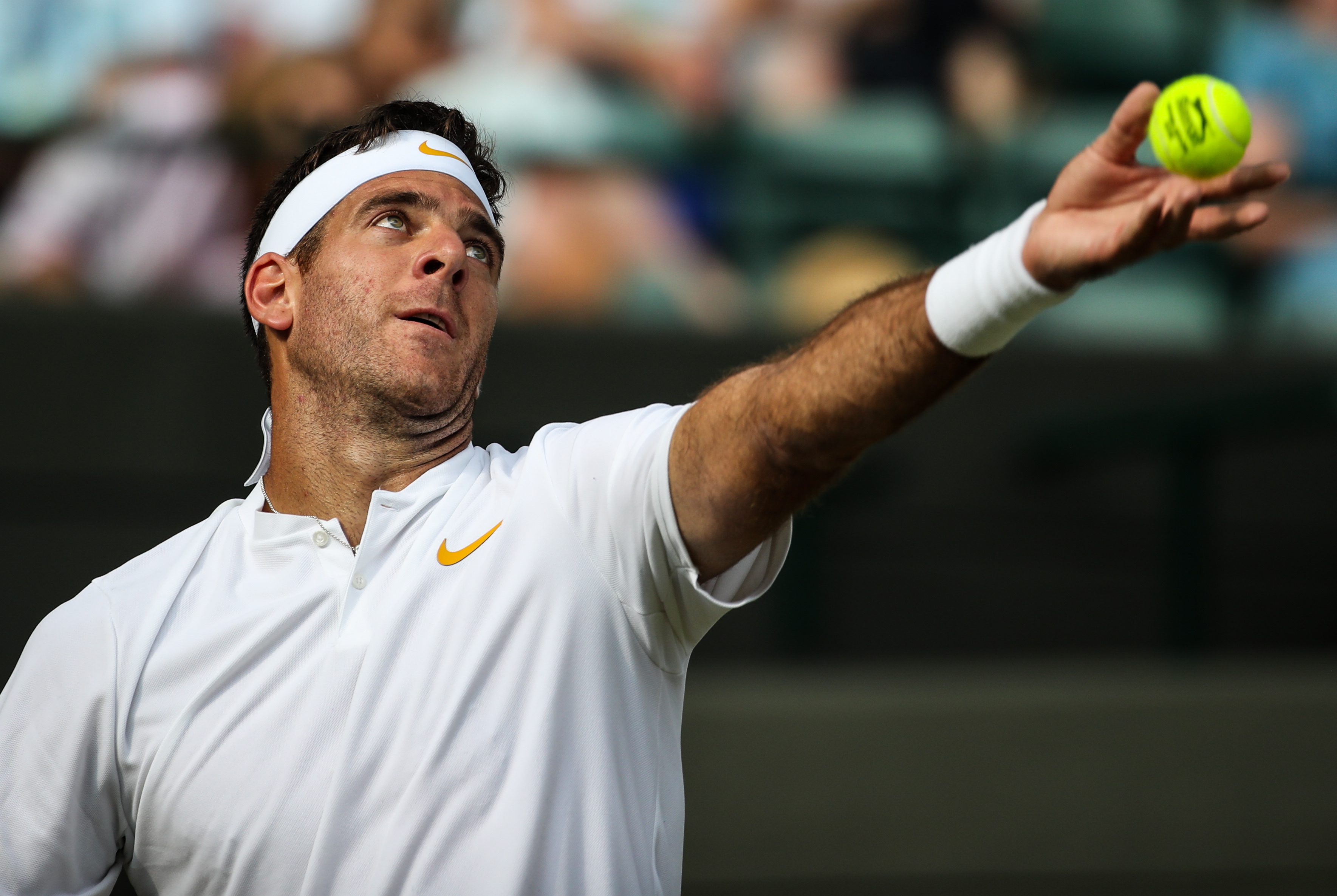 网球——温网:德尔波特罗晋级