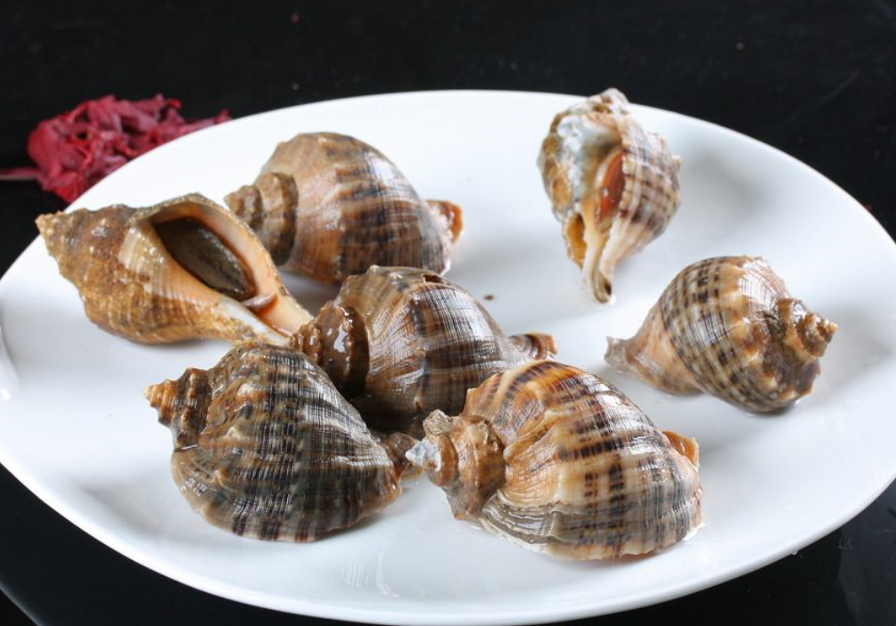 补钙壮骨也是大海螺的重要作用,这种水产食材中不但含有大量的碳酸钙