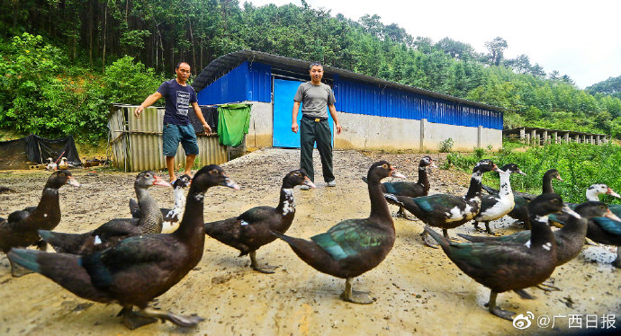 鸭- 热门商品专区