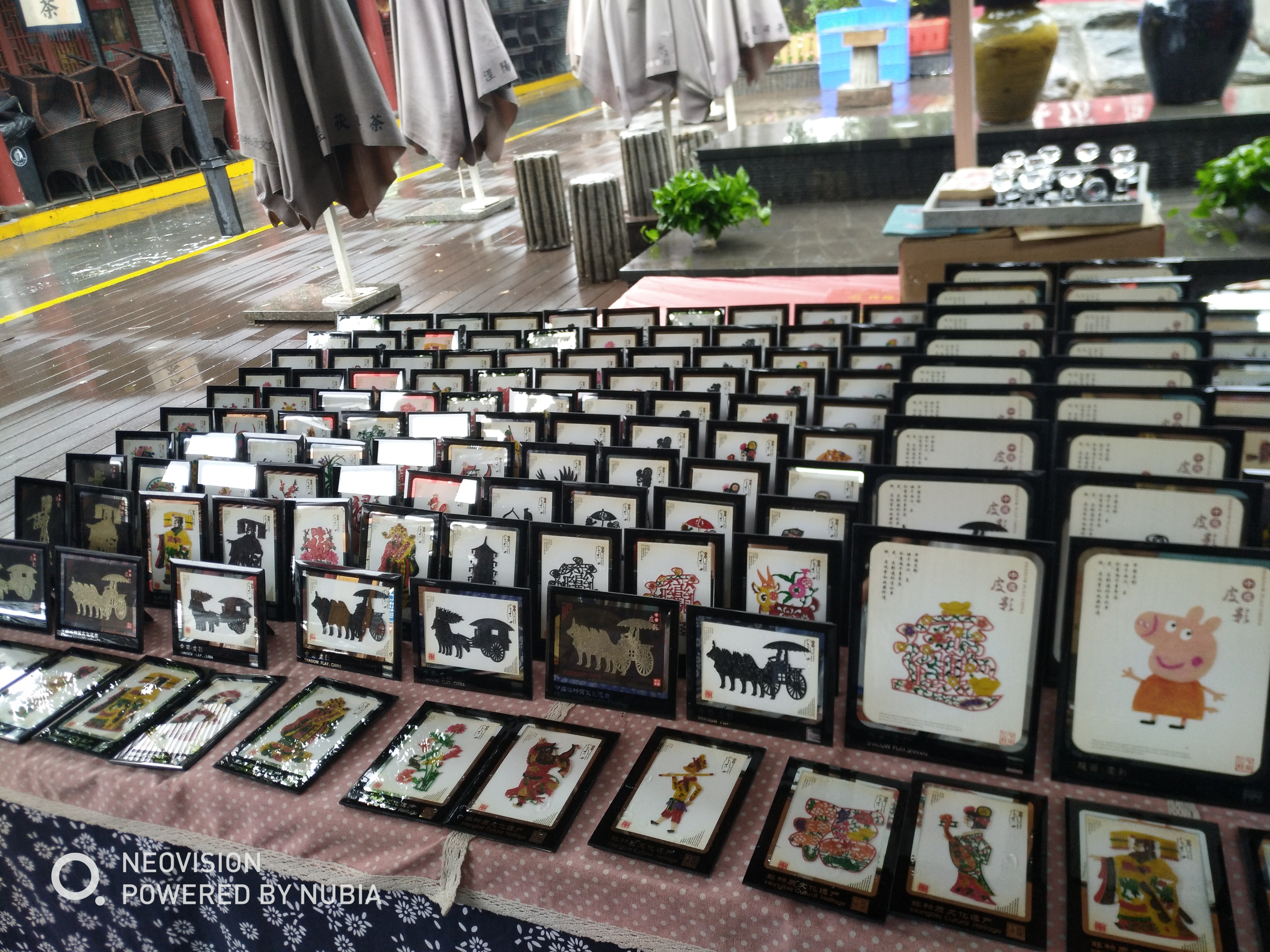 旅游的见闻奇事录