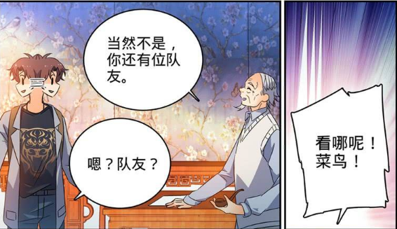 全职法师:莫凡和灵灵组队,她竟然是猎人大师