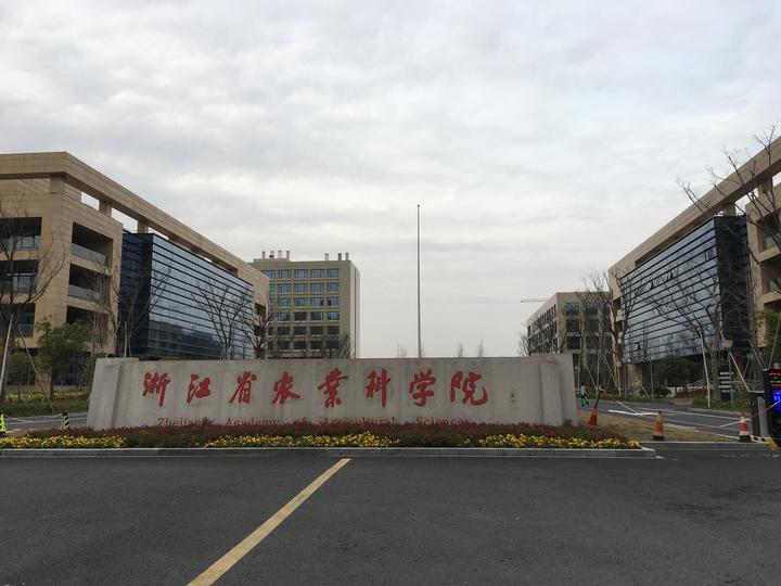 浙江省农科院回应:牧鸭治蝗技术尚在研究探索中