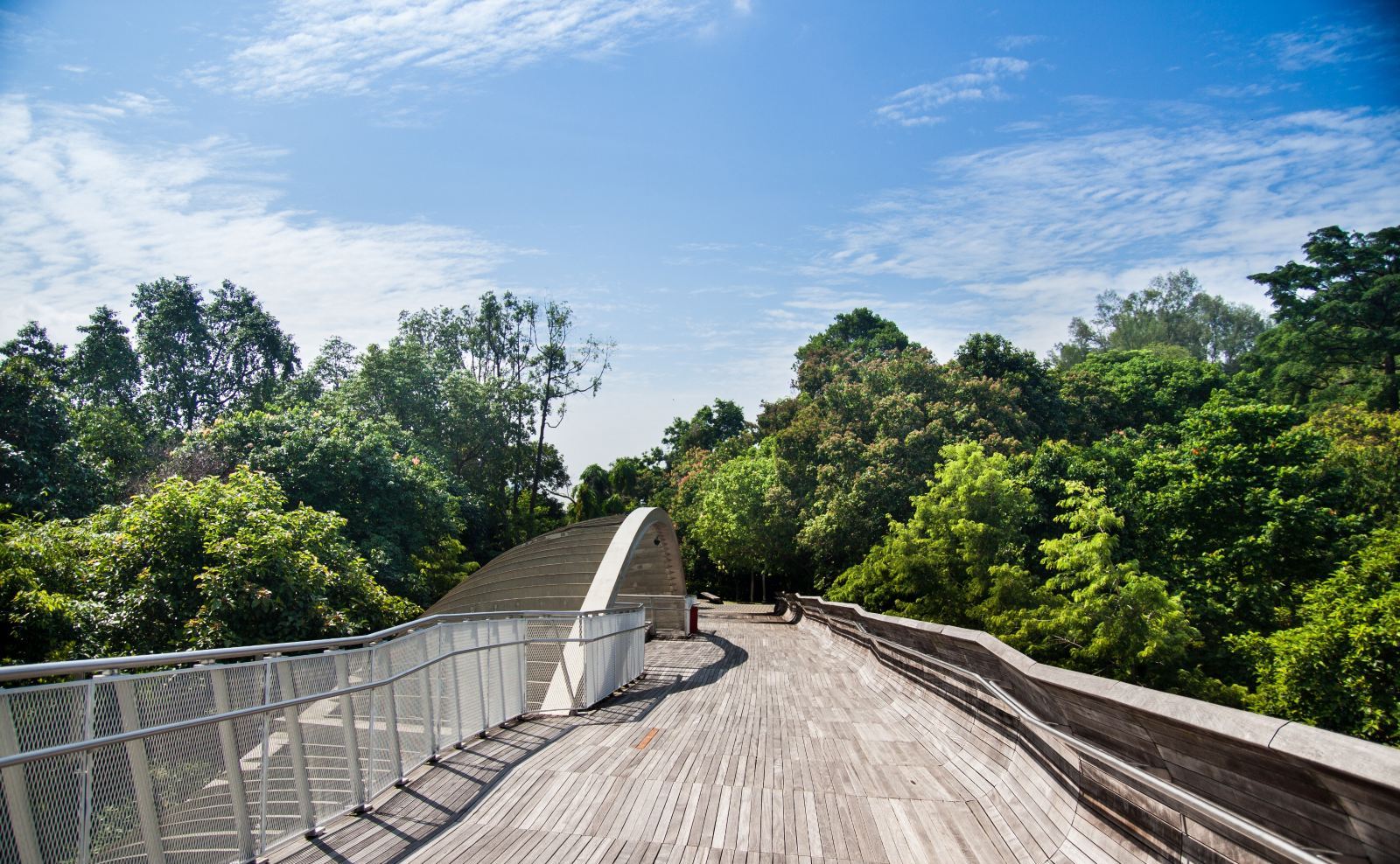 搭乘缆车到达山顶俯瞰城市全景,与山上可爱小鱼尾狮合影留念