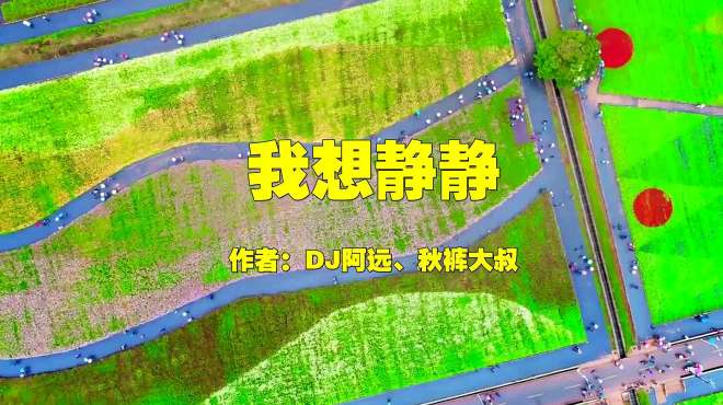 [图]秋裤大叔的一首《我想静静》DJ版，感染力十足，歌声雄伟