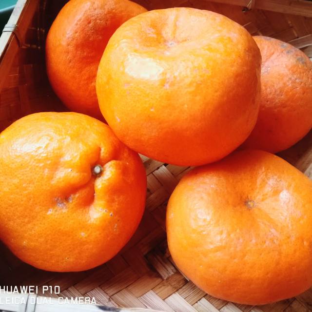 丑橘果汁,鲜榨零添加,颜色橘黄,酸甜好喝,超棒的下午茶