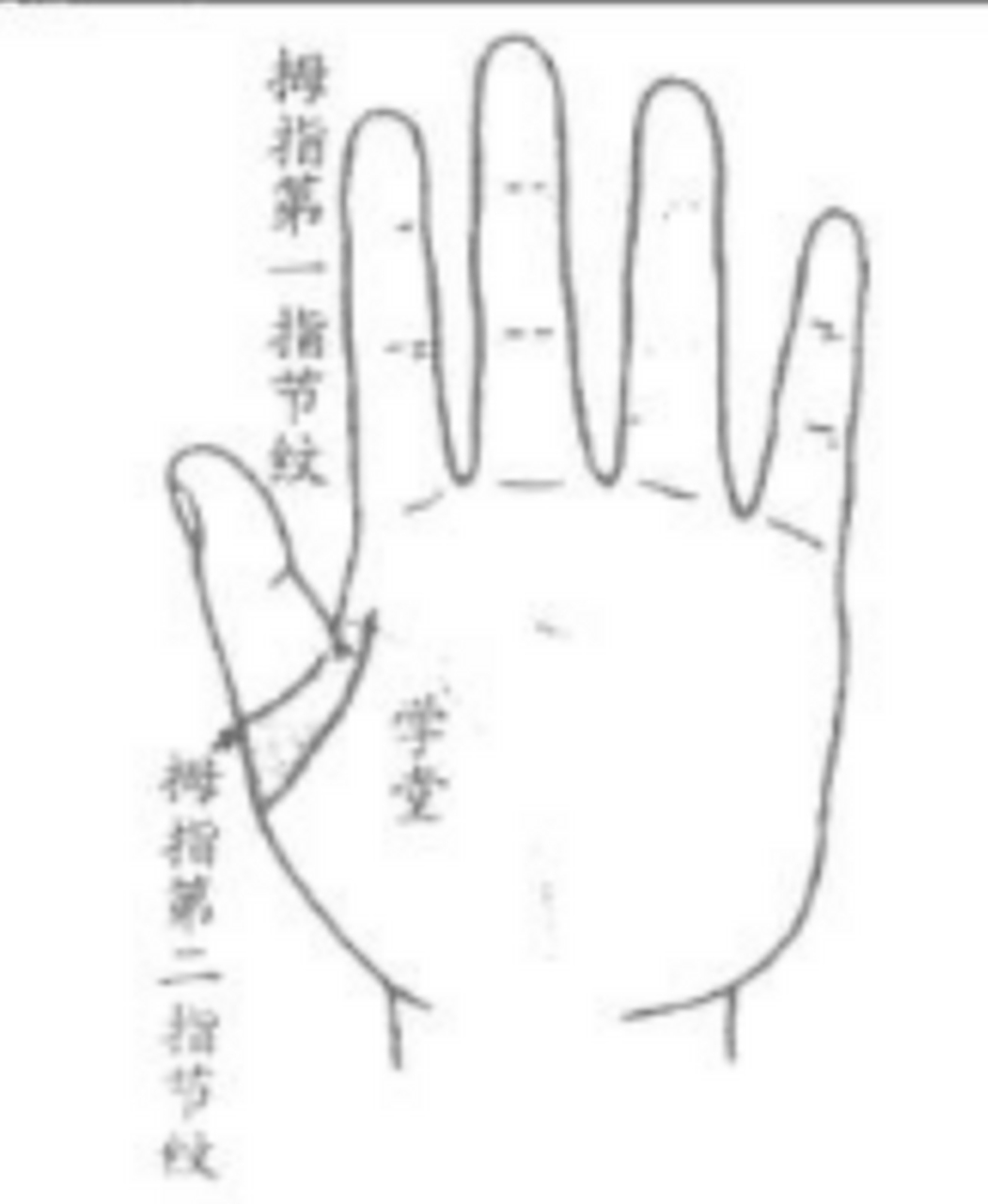 学堂纹小而清晰是吉相,其中有福祉相随.