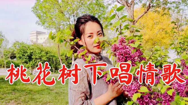 [图]一首对唱情歌《桃花树下唱情歌》太好听了，优美的旋律，值得回味