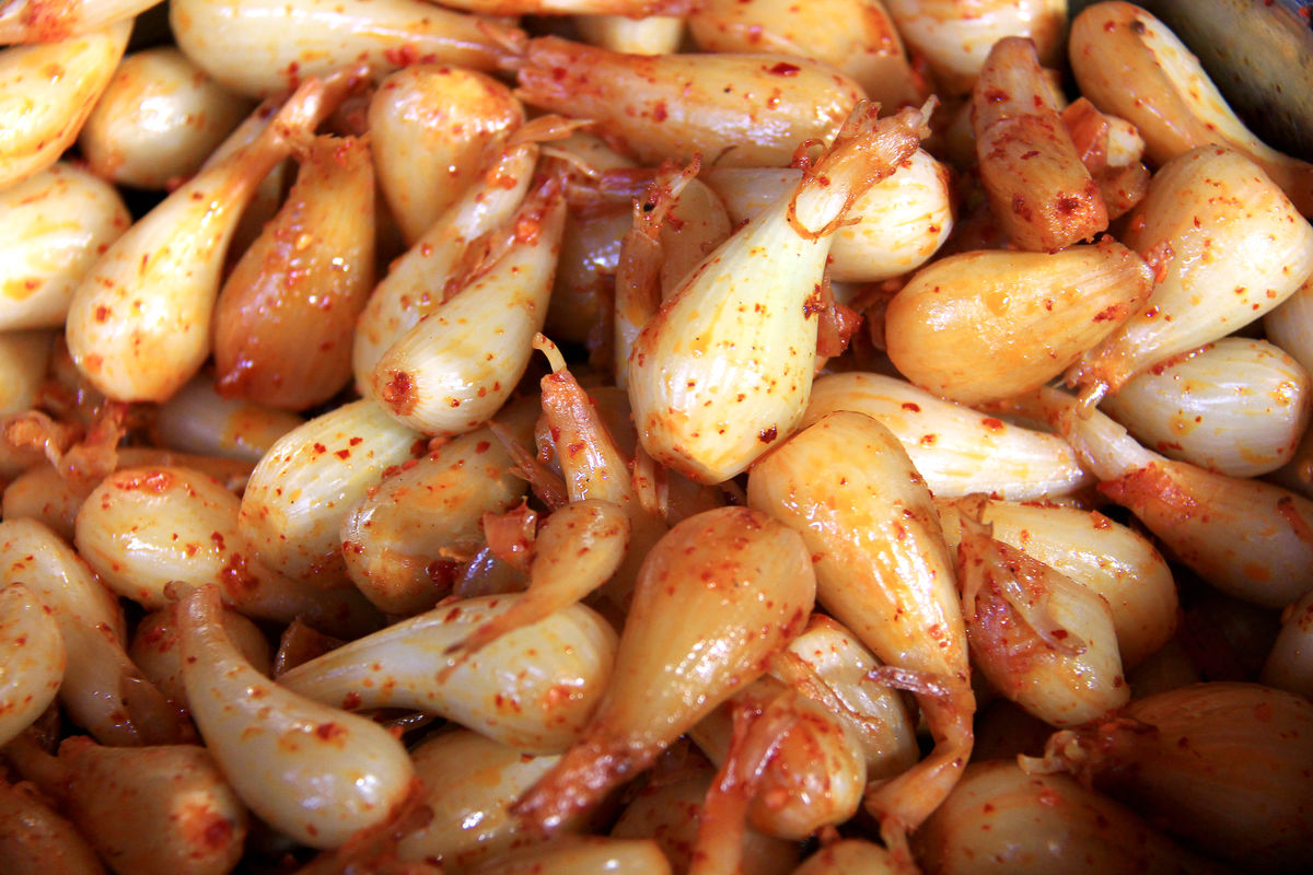 茭头- 优质问答专区