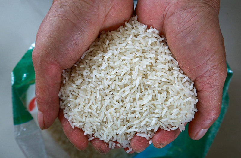 大米- 热门商品专区