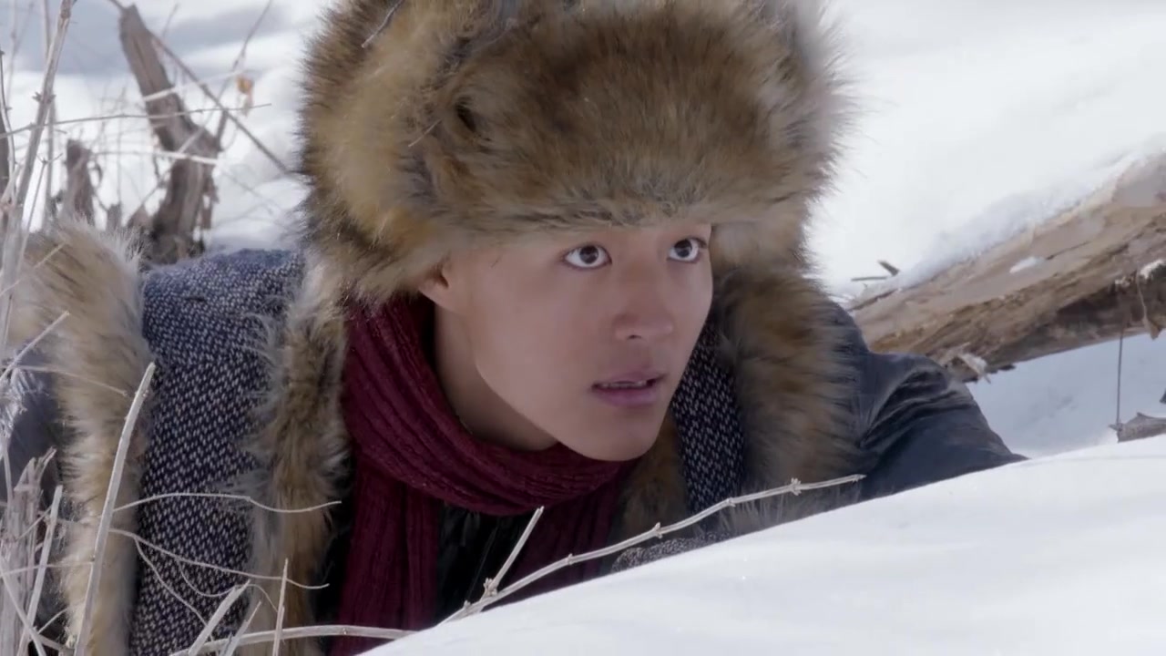 《雪地娘子军》电视剧精彩盘点