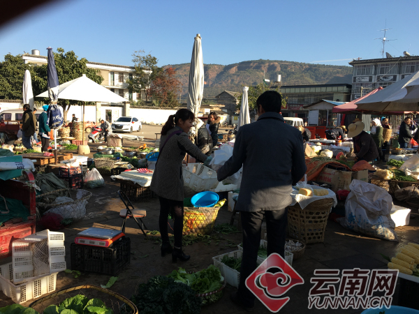 大理市上关镇:主题教育解民忧 百姓生活更幸福