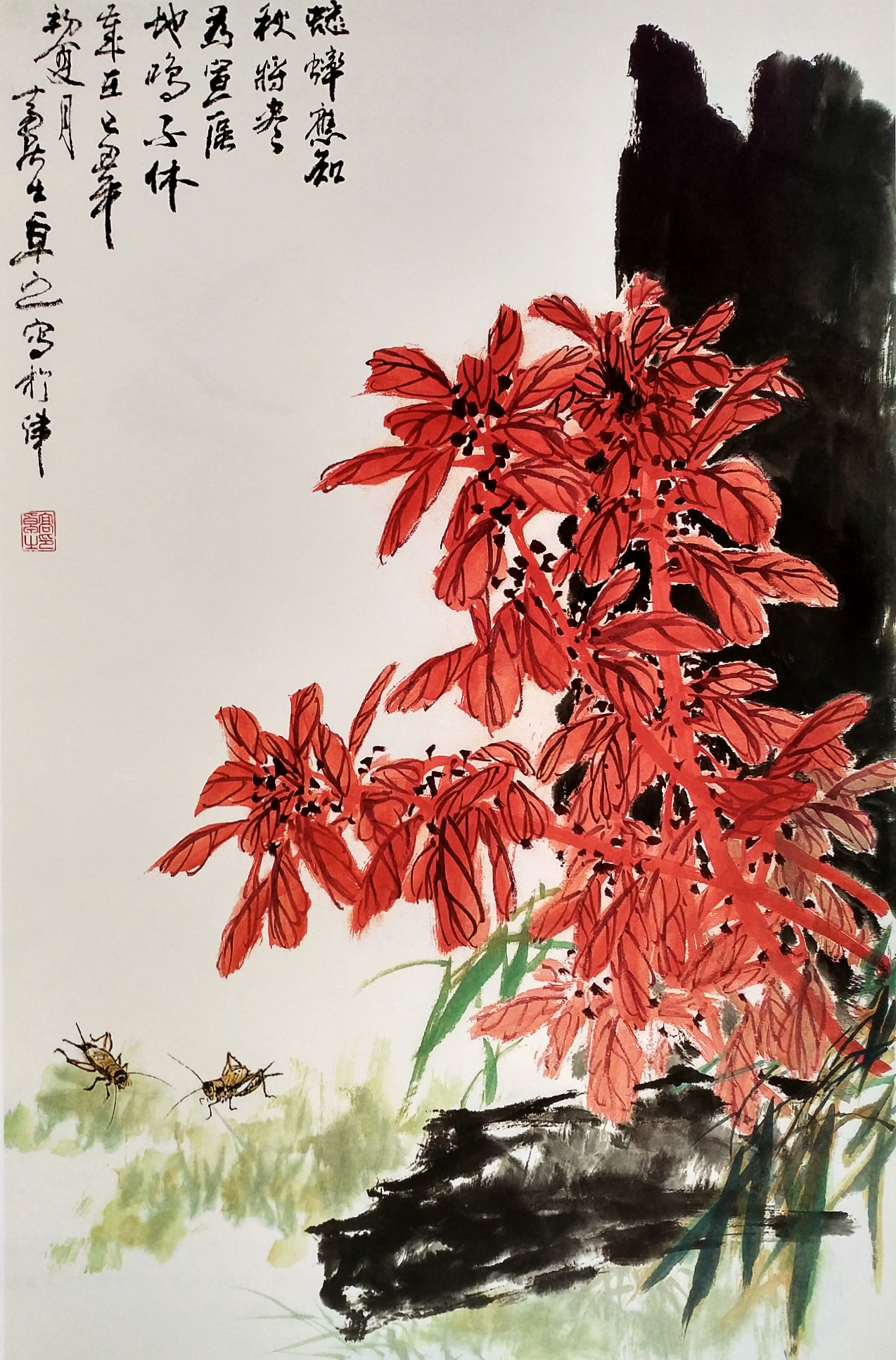 菊花雁来红国画图片