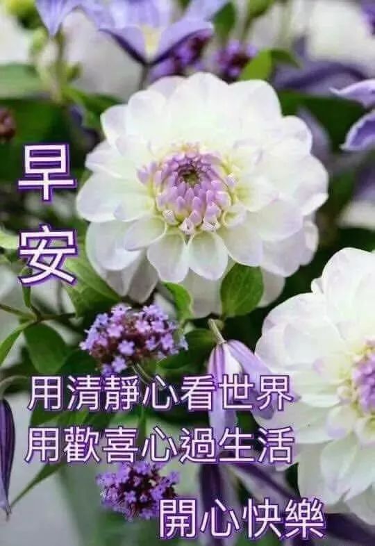 5月13号微信群发早上好祝福语吉祥图片 早安祝福语哲理的句子