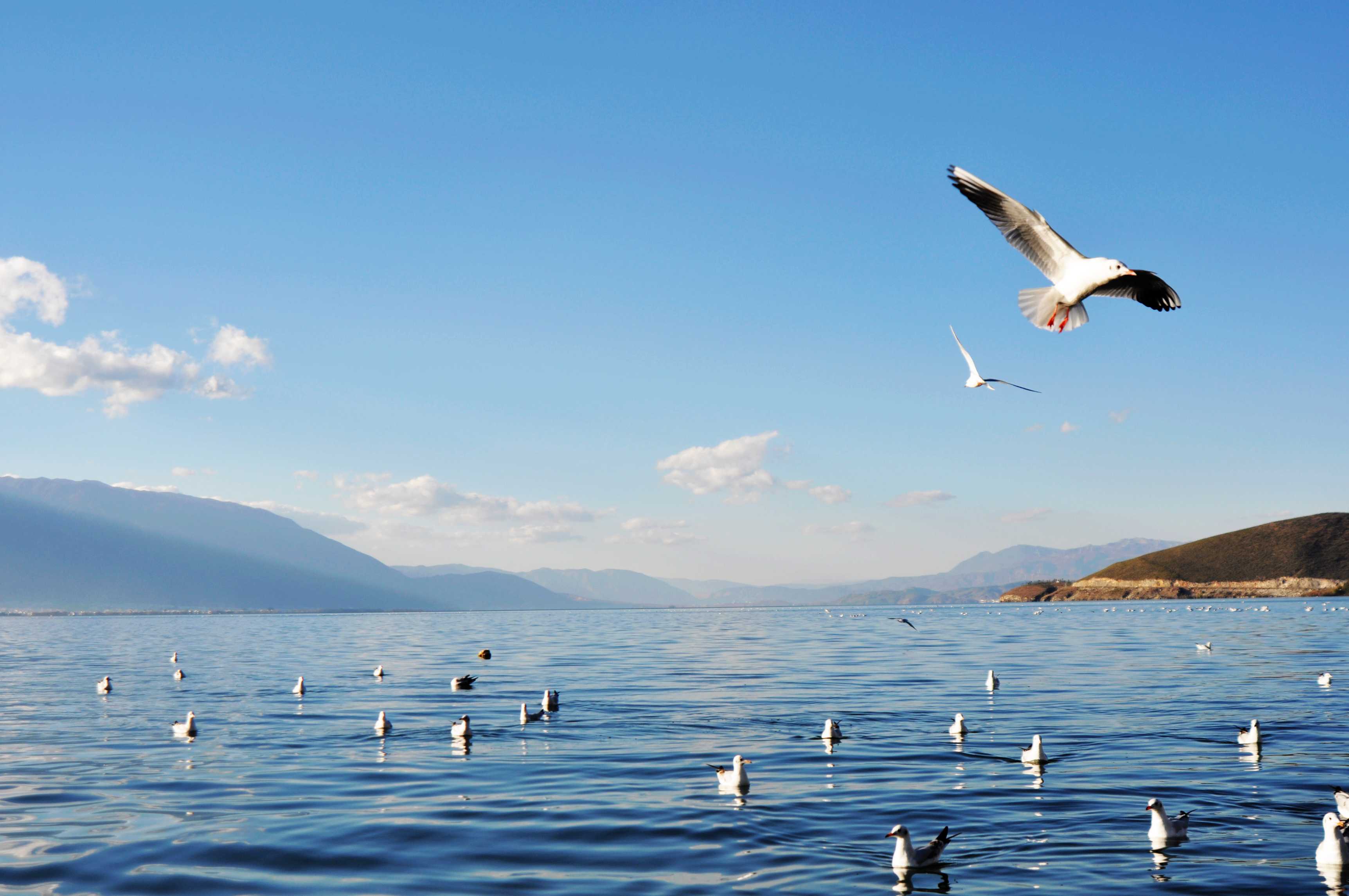 苍山雪,洱海月,洱海月照苍山雪