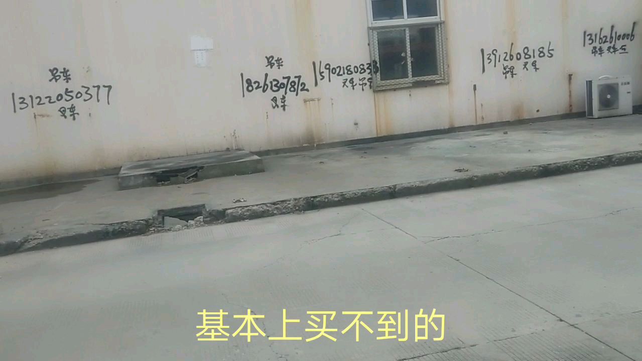 王律给大家分享一个平常而又宝贝的菜,见过吗?给大闸蟹也不换