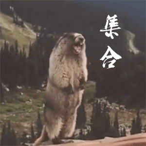 好了,表演完毕了,吼了这么久,口干舌燥,肚子又饿了,各位再给点土拨鼠