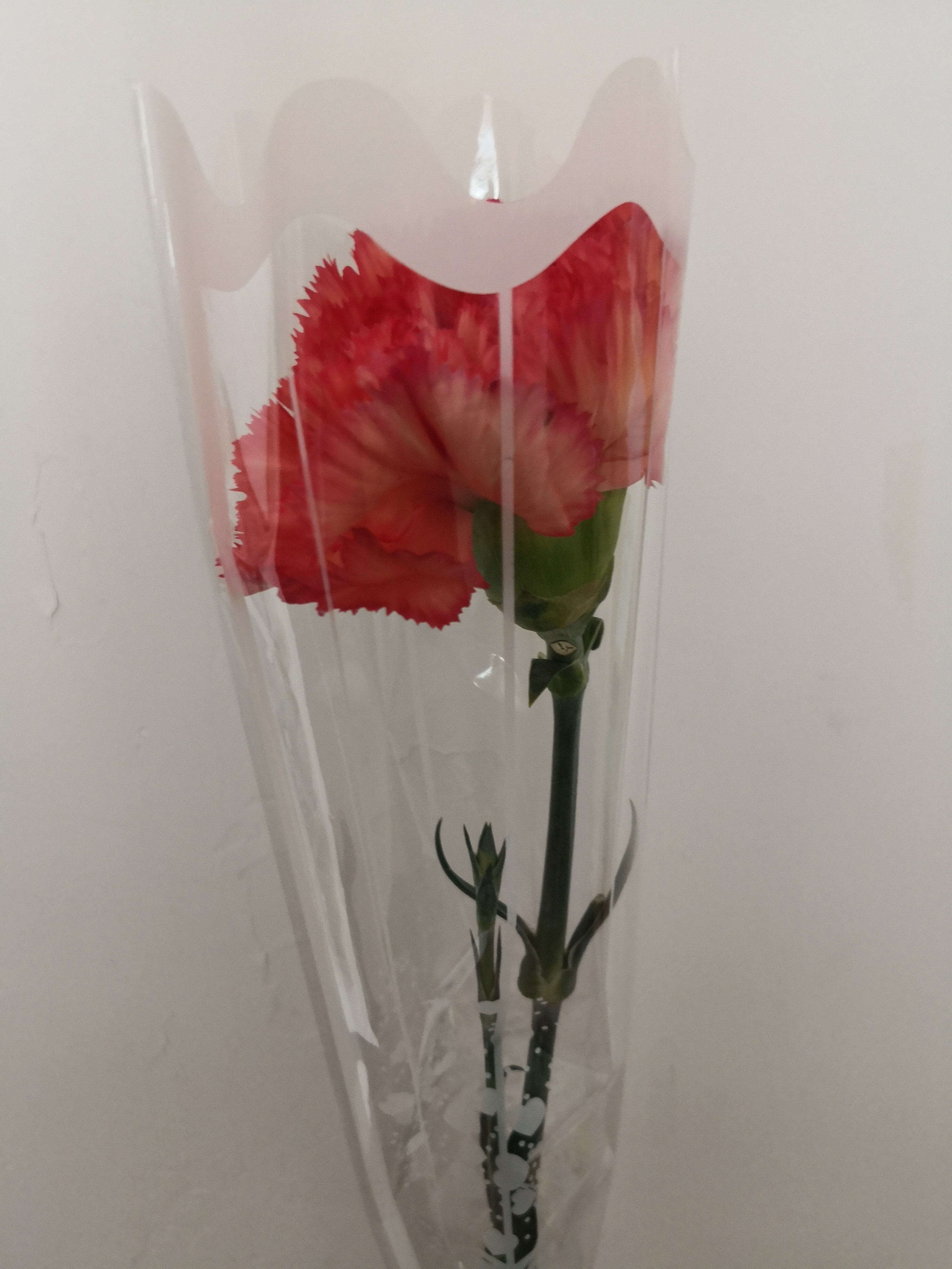 女儿给我一枝花!