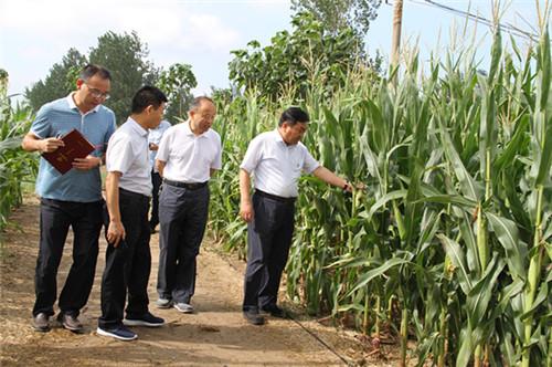 太康县委书记王国玺进村入户查汛情解民忧