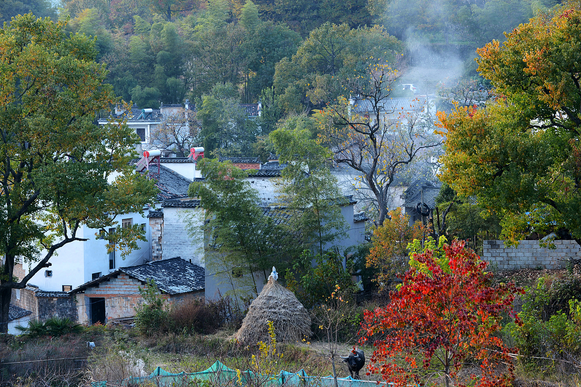 塔川距宏村仅2公里,是黟县众多美丽古村落中一个独具魅力的乡村,是