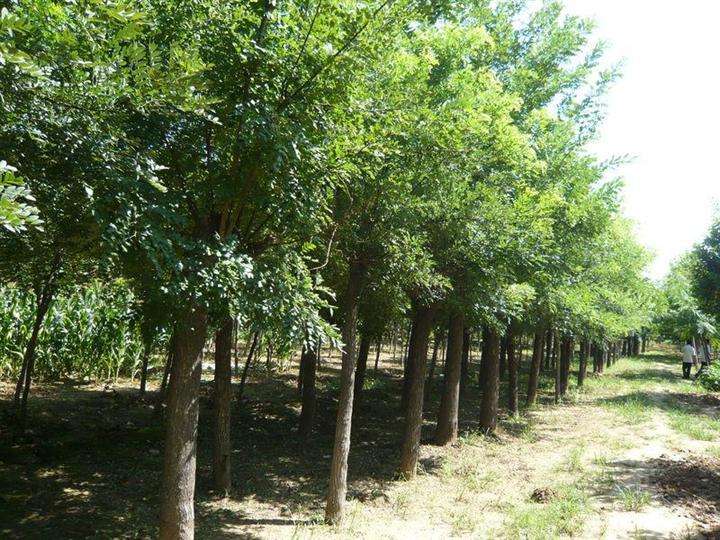 榆林 渭南 山西 太原 大同 晋中 辽宁 鞍山 山东潍坊 河北 石家庄