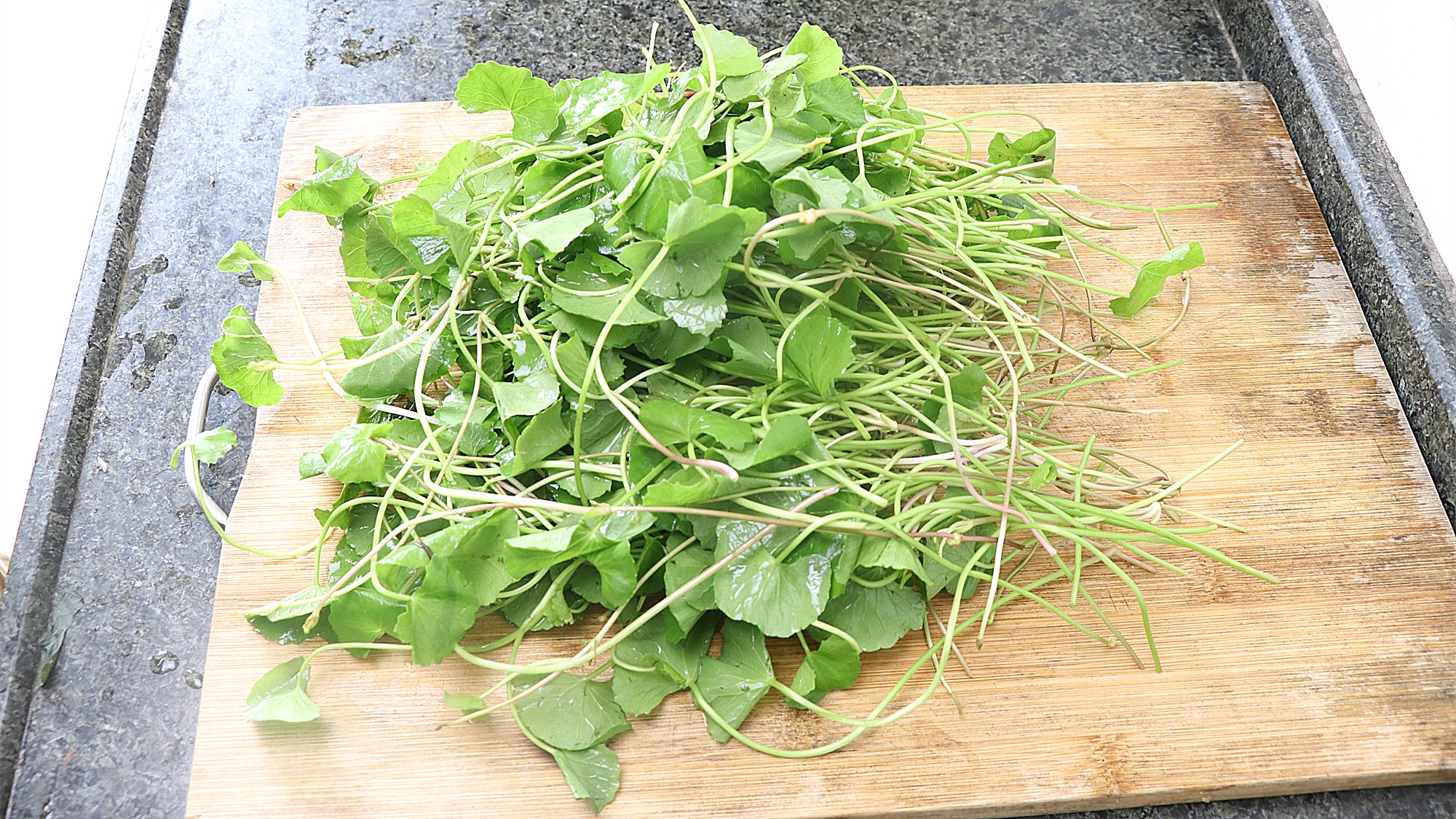 雷公根也能凉拌,你没吃过吧?夏天吃非常棒哦