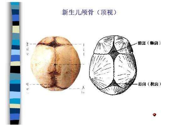 宝宝卤门至关重要,父母如果发现有这几种情况,最好及时就医