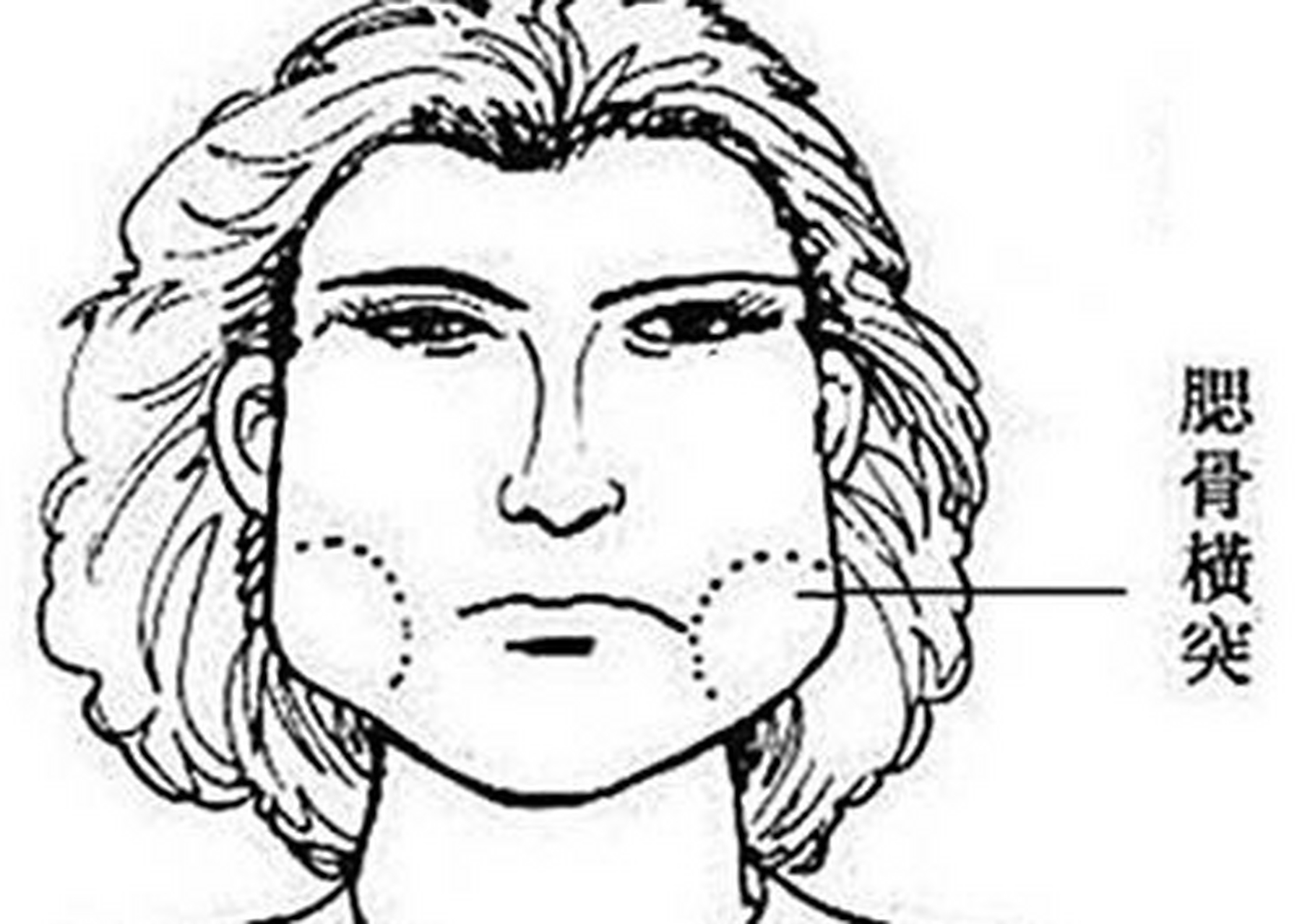 腮骨横突,打眼看上去好像整张脸只有个大腮帮子,这种面相的人,拥有很