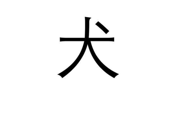 面试官:"犬"字加一笔是什么字?回答术和尖的,全都被淘汰了