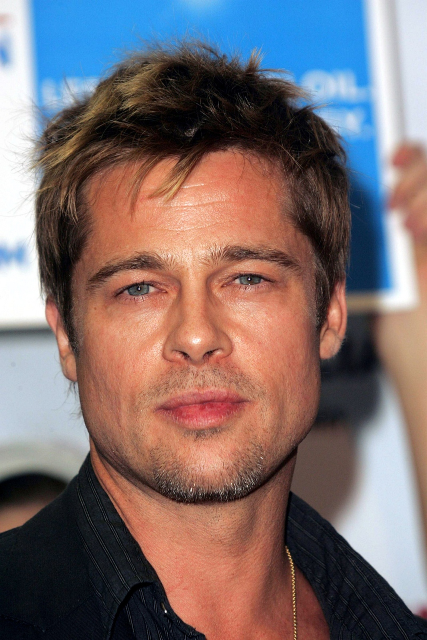 标题:"布拉德·皮特的惊人慈善之举:一座桥的故事"