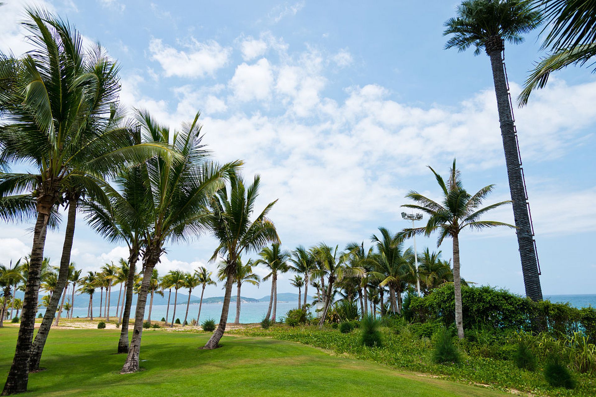 海南文昌东郊椰林风景区,在绵延十里的建华山海岸线上,葱翠的椰林