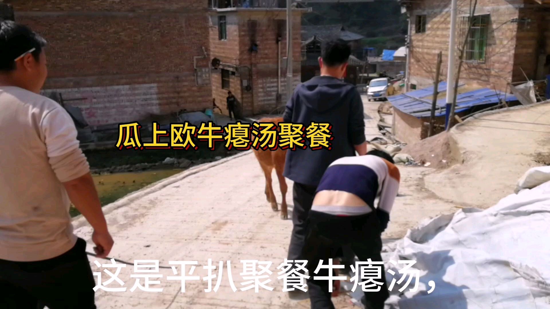 农村牛瘪汤聚餐,大家都说太好吃了