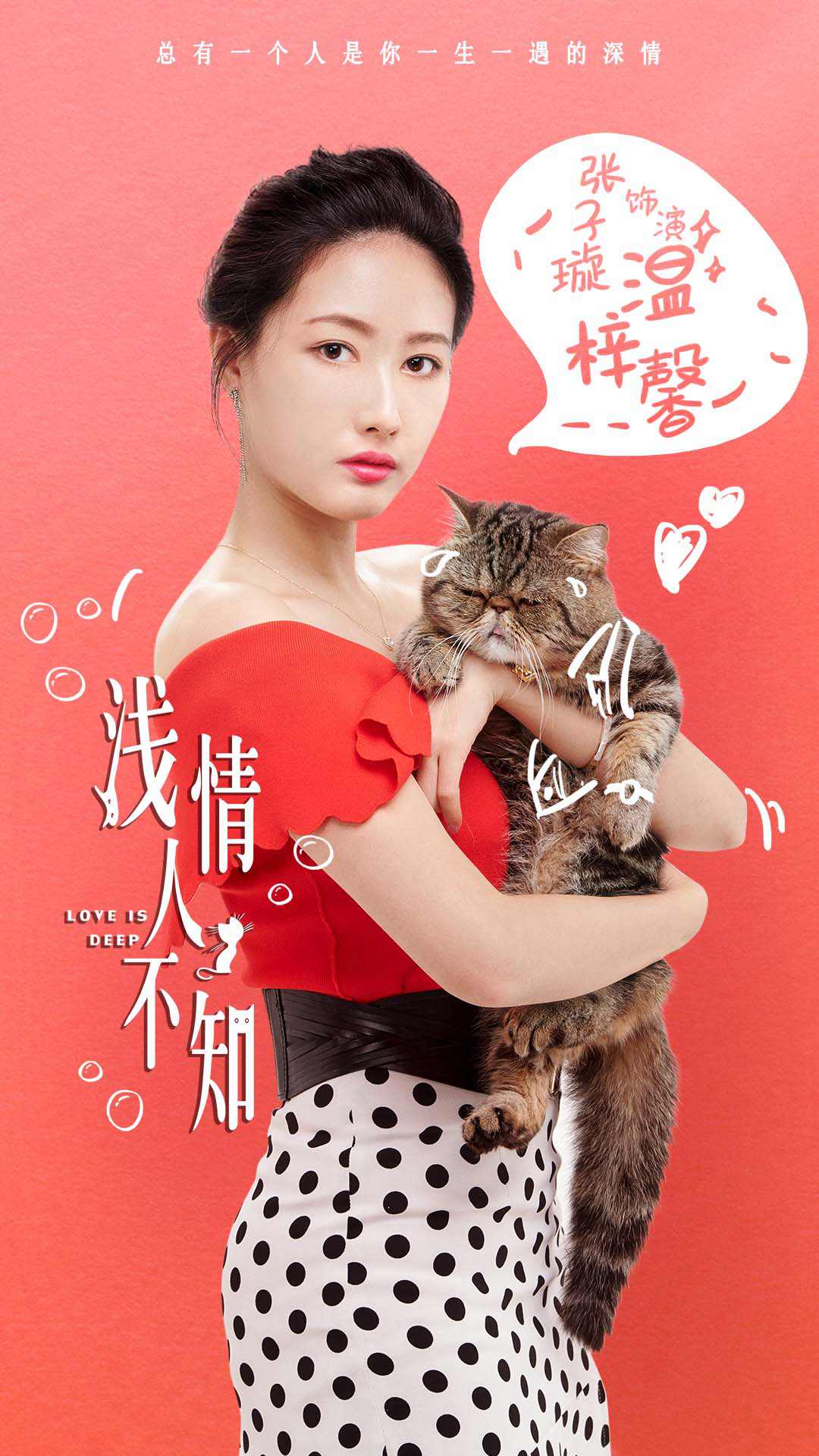 电视剧《浅情人不知》定档 温馨治愈猫片萌化你心