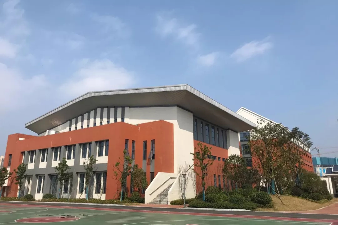 西雅小学:操场,体育馆,综合楼,右侧远处是象鼻窝公园.