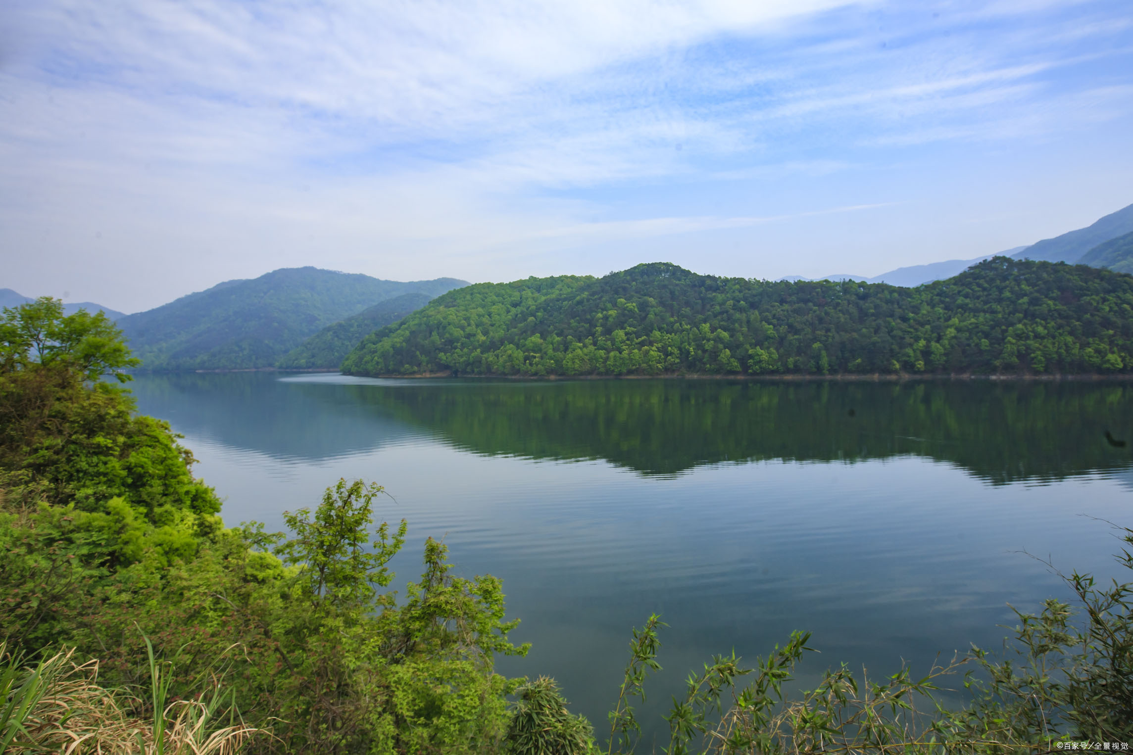 微生态 - 热门商品专区