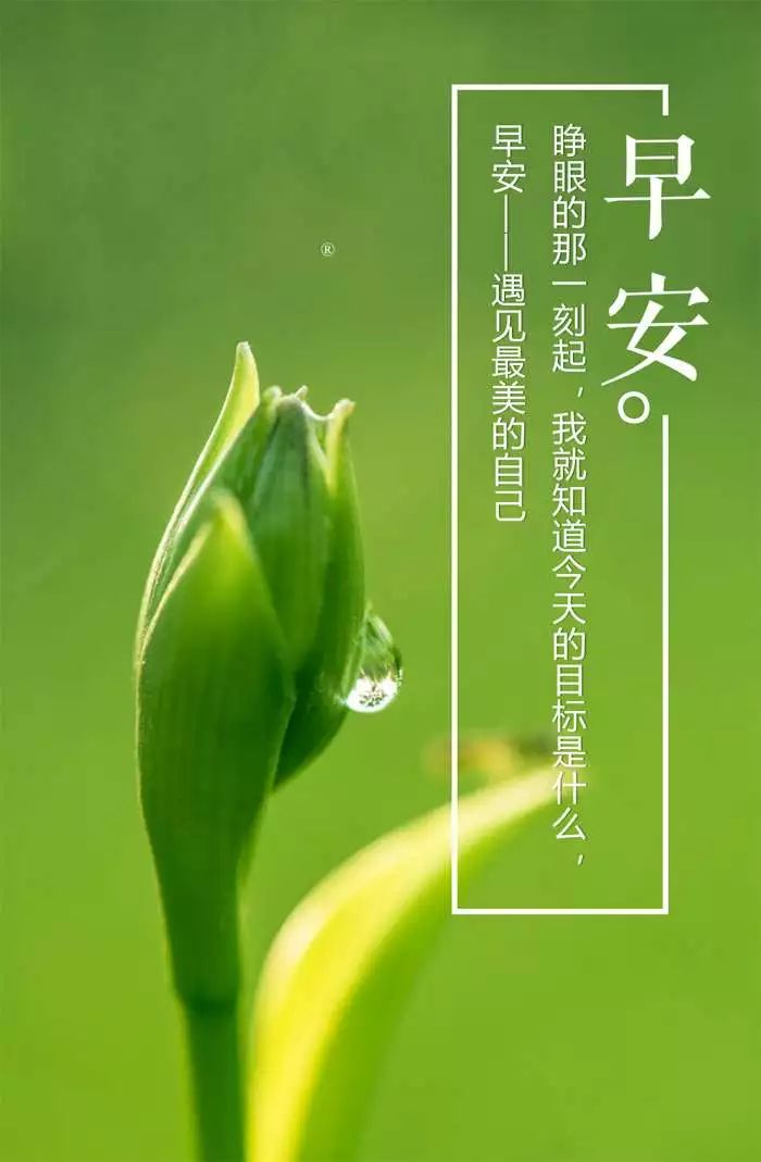 2020第一天最火的正能量经典语录 精致暖心 越看越爱看