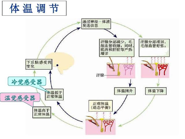 一个月孩子发烧四起,孩子和妈妈都该理解发烧这一点