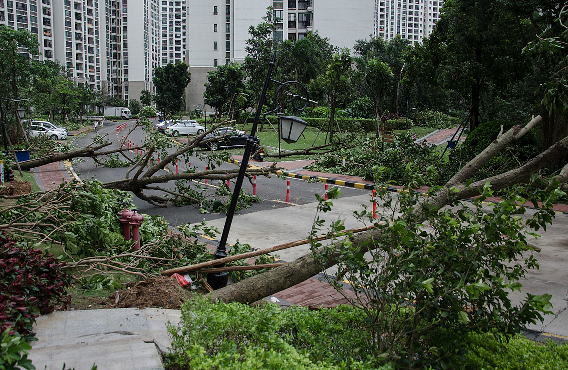 台风是一种自然灾害,每年都会给中国带来巨大的影响