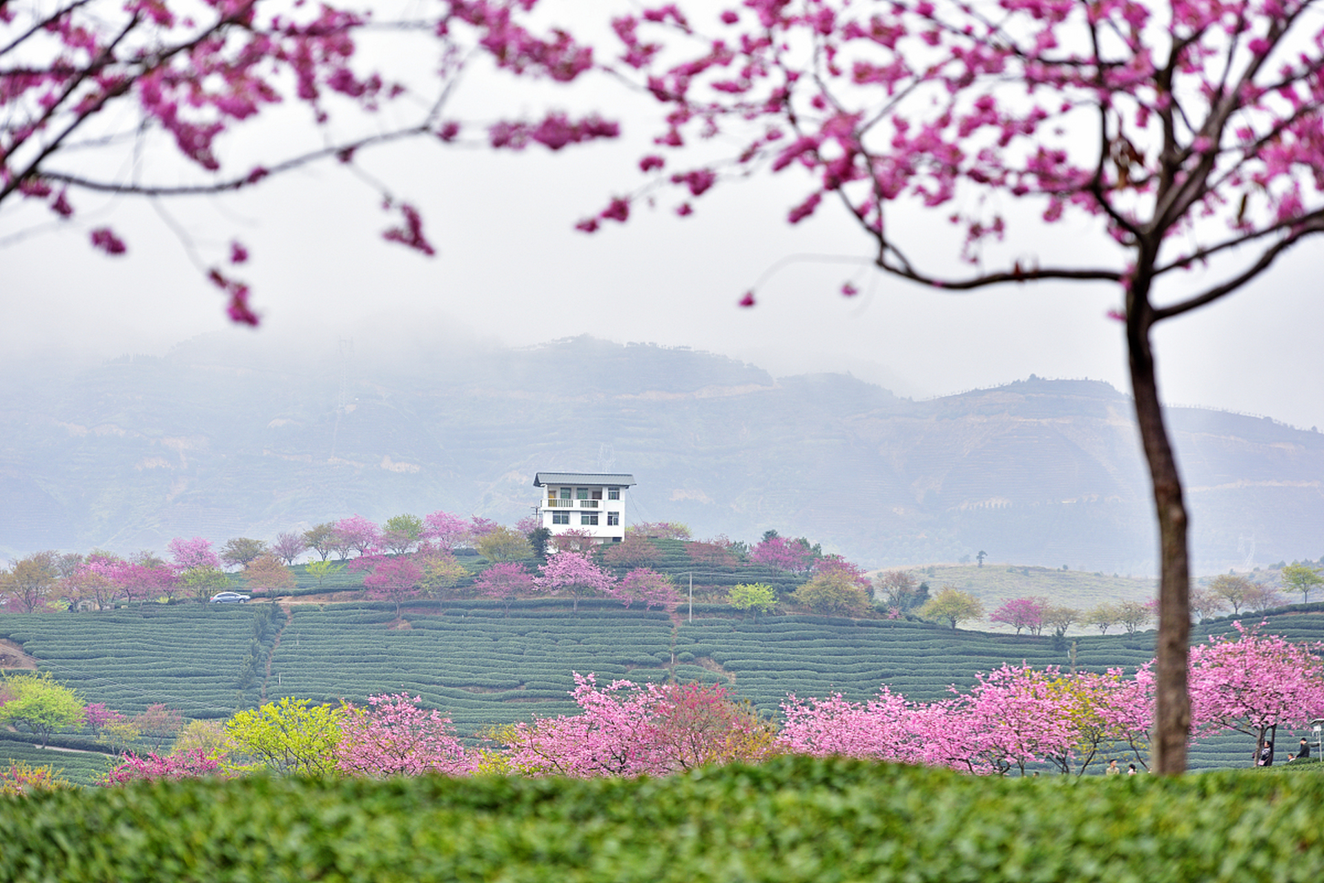 九鹏溪风景区图片