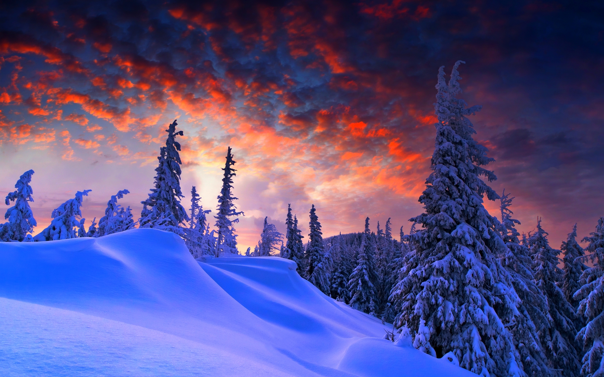 冬天大自然景色壁纸高清,分辨率:1920x1200