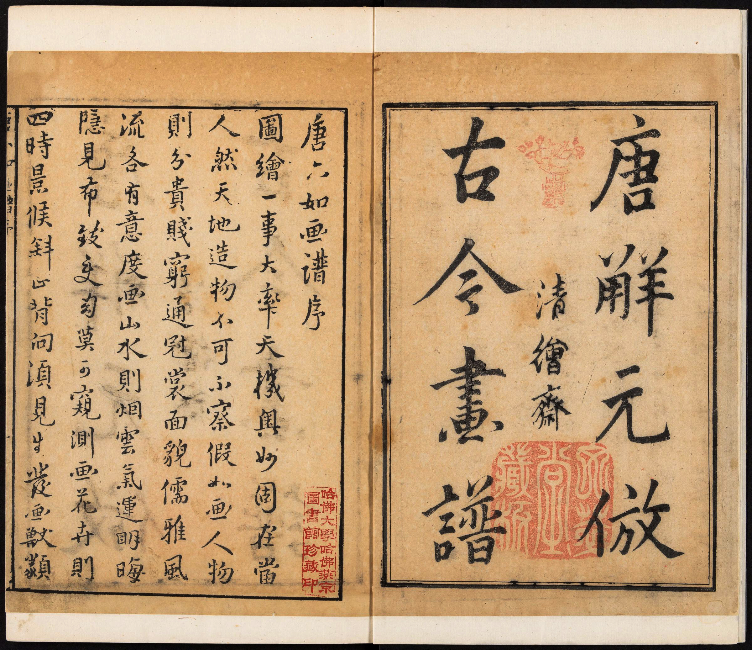 教你识别木本花儿,还教你画木本花儿和鸟类的综合性画谱