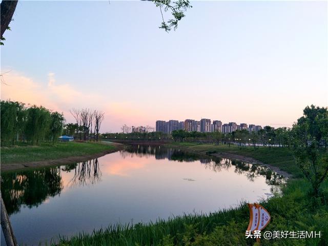 聊城月季洼湿地公园图片