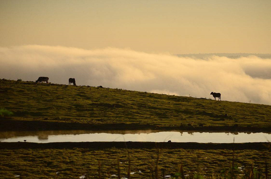 畜牧场水源的监测对后续的养殖息息相关,要保持水源的纯净