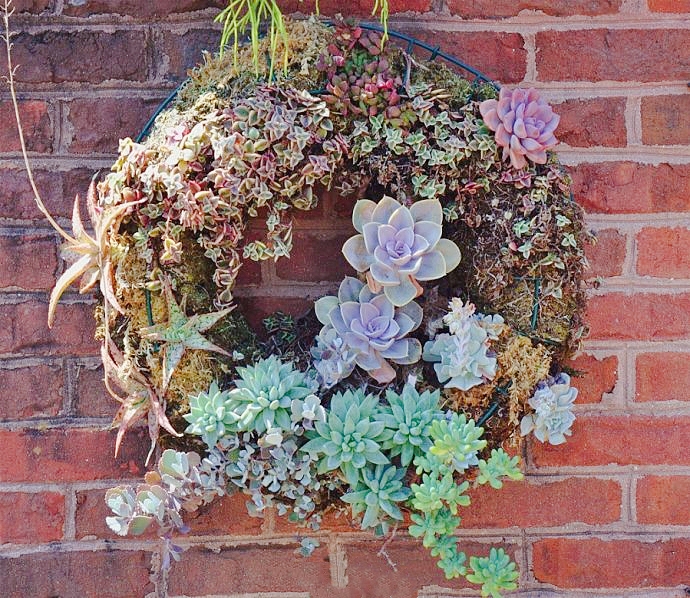 这样给多肉造景,你会更喜欢多肉