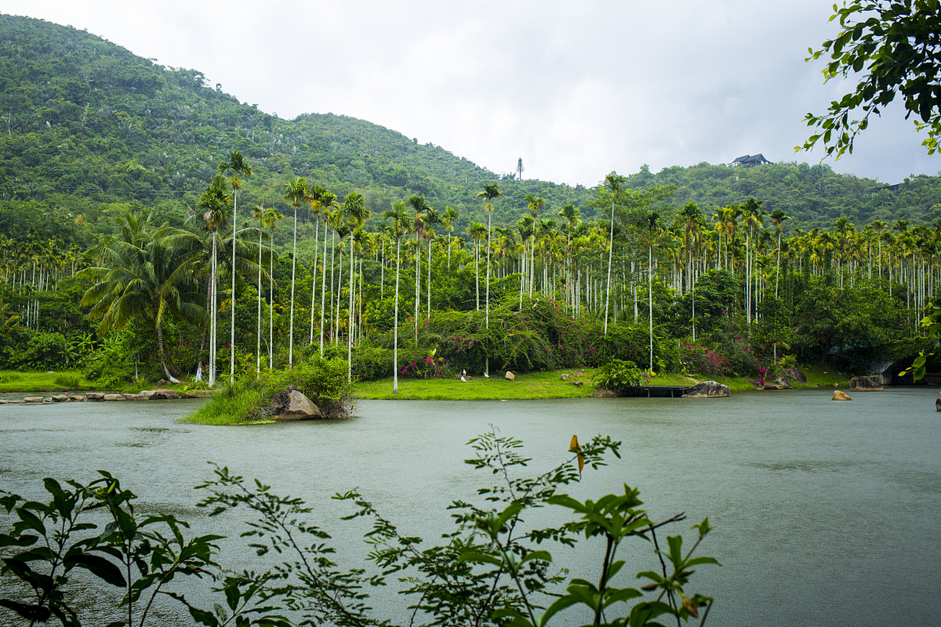 海南呀诺达雨林文化旅游区是一个令人惊叹的旅行地,这里有着独特的