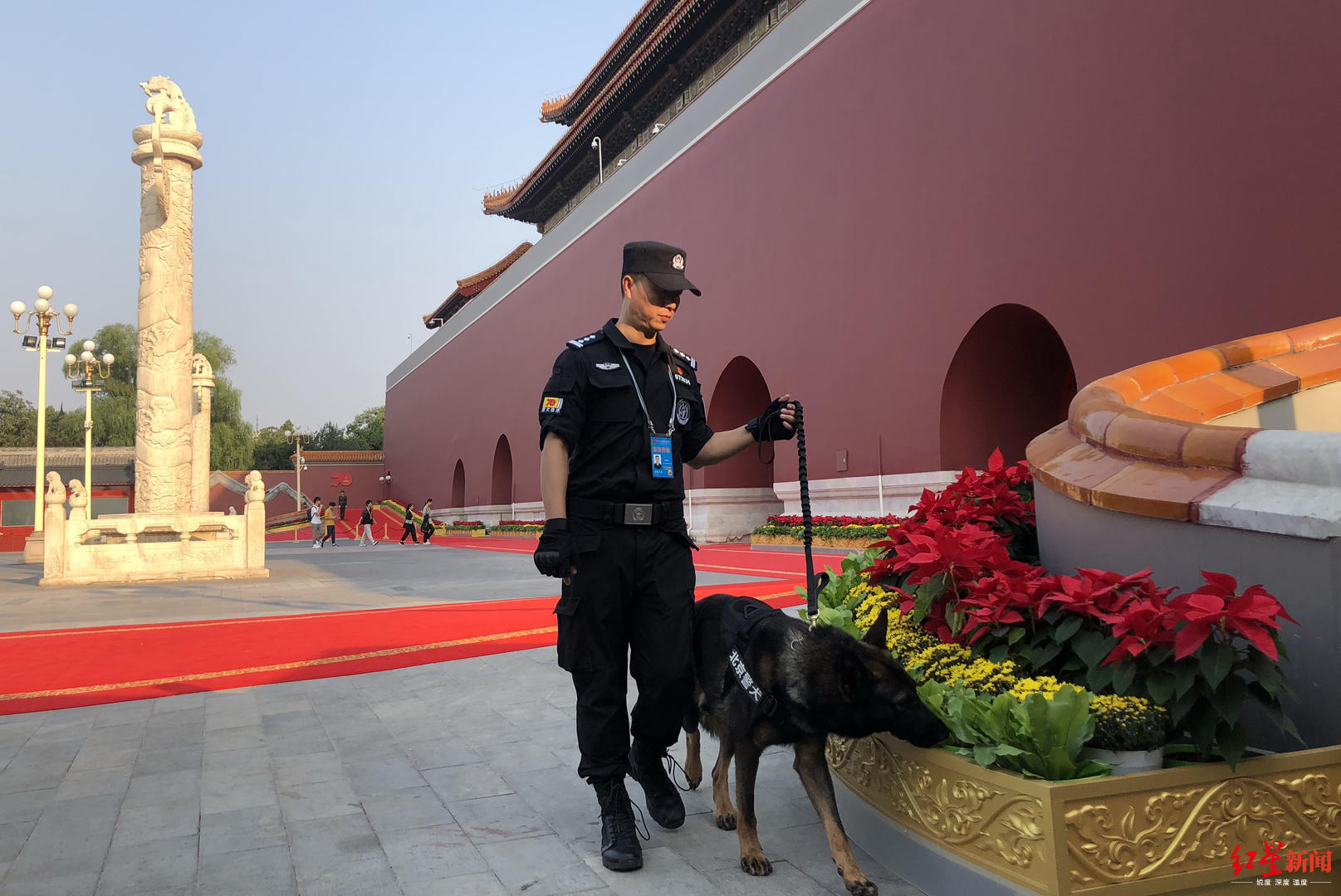 成都训犬民警获个人一等功 隔空表白警犬:军功章有你一半