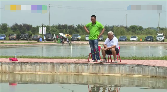 刘浩男,贾云鹏,秦帅,三位钓坛大咖带着老爷子们来垂钓,刘浩男的老爸