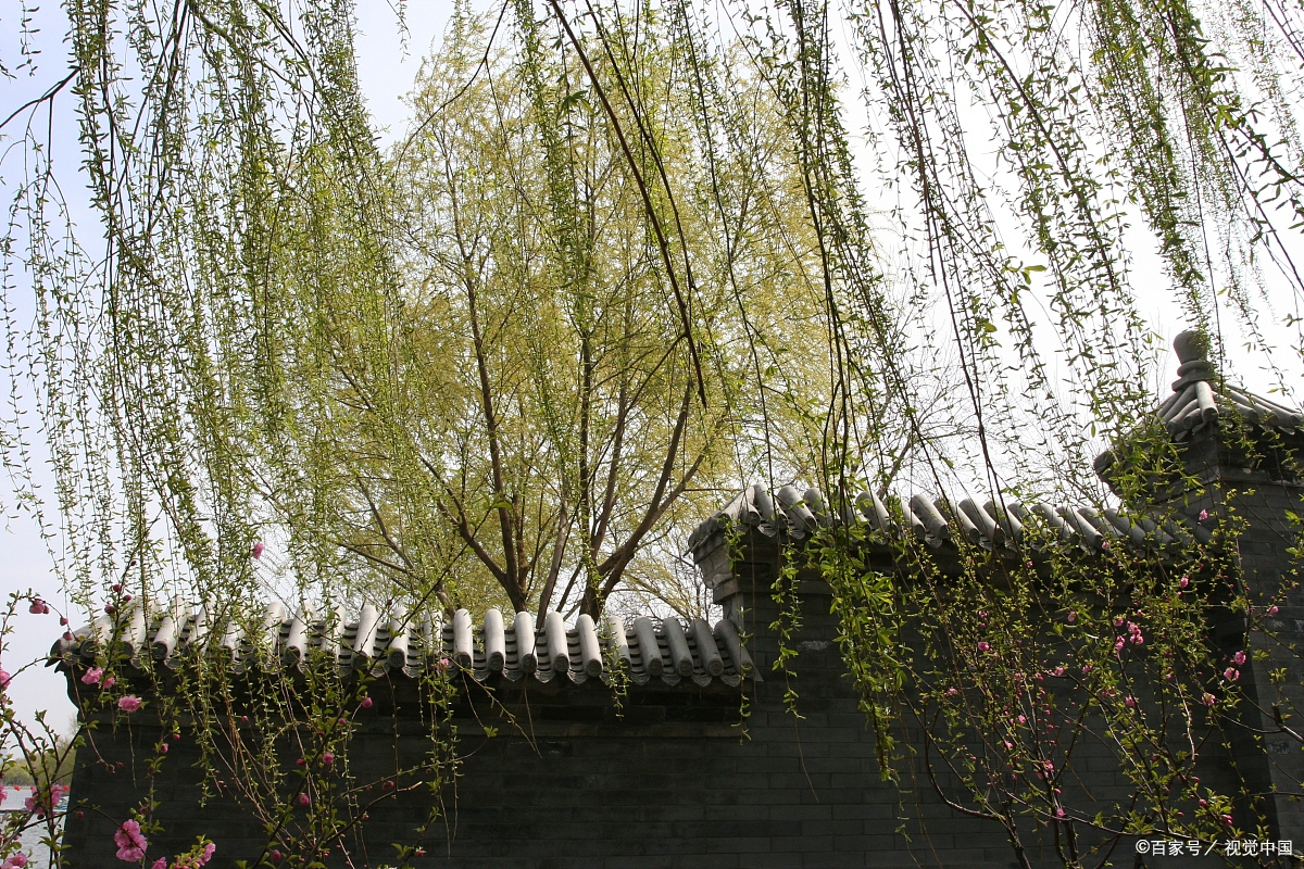 王维最感人的一首诗 句句都是千古名言 感动了历代无数的读者 百科ta说 王维最感人的一首诗 句句都是千古名言 感动了历代无数的读者 百科ta说